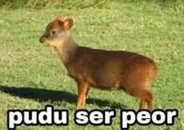 Pudu ser peor